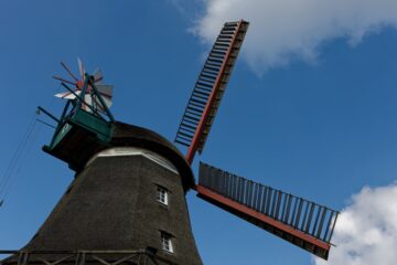 Bodo Jarren - Challenge 108: 08.07 - 21.07.2024 - Blick nach oben