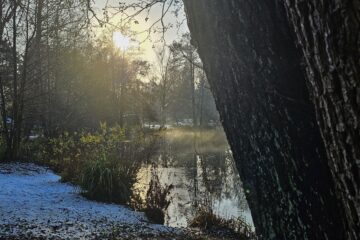 Ekhard Traupel-Maaß - Challenge 117: 28.10 - 10.11.2024 - Herbst Nebel